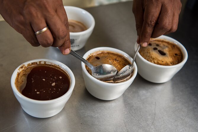 Coffee Tasting Experience - Who will enjoy this Ljubljana coffee tasting