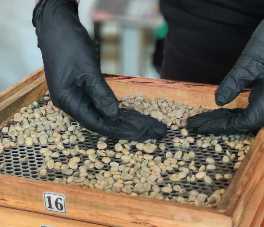 Coffee Tasting Experience in Cali - FAQ