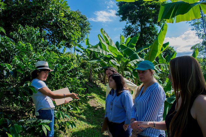 Coffee Tour. - Key points to know before booking