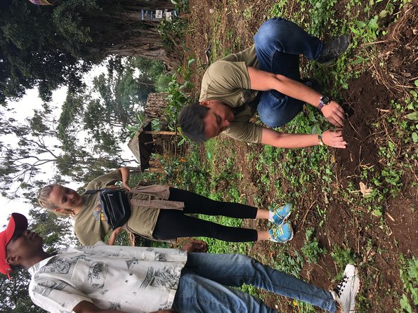 Coffee tour and Buffet Lunch with Kingstone Asilia (Arusha) - Why this Arusha coffee tour is worth your morning