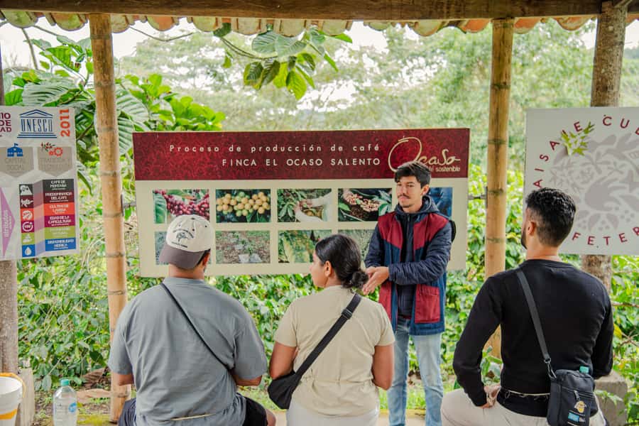 Coffee Tour at Finca El Ocaso Salento: Traditional Spanish Farm - Is $19 a fair price?