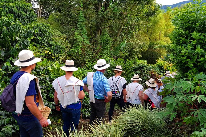 Coffee Tour at the Finca del Café - What the $40 price includes