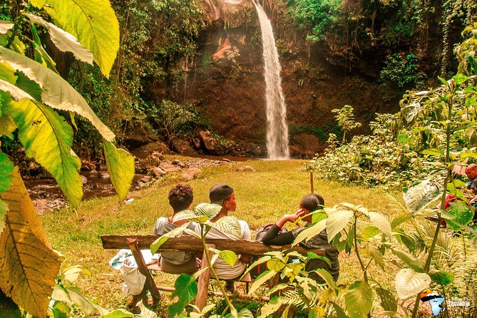 Coffee Tour Experience from Arusha - What you learn at Tengeru Cultural Tourism Program