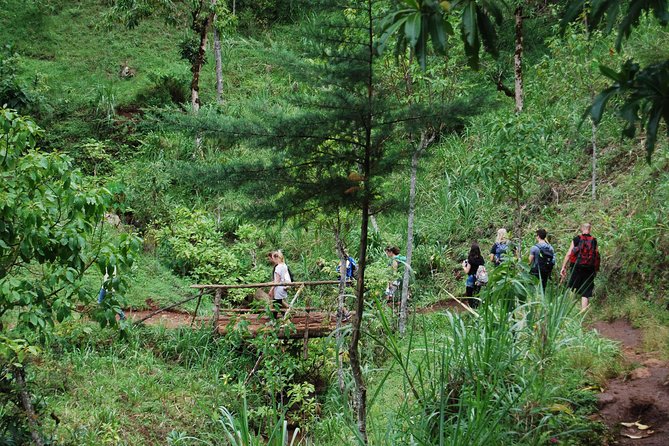 Coffee Tour Experience from Arusha - Who will enjoy this day most?