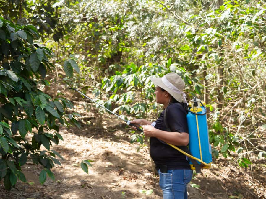 Coffee Tour in Antigua Guatemala - Arriving at the Rivera family farm
