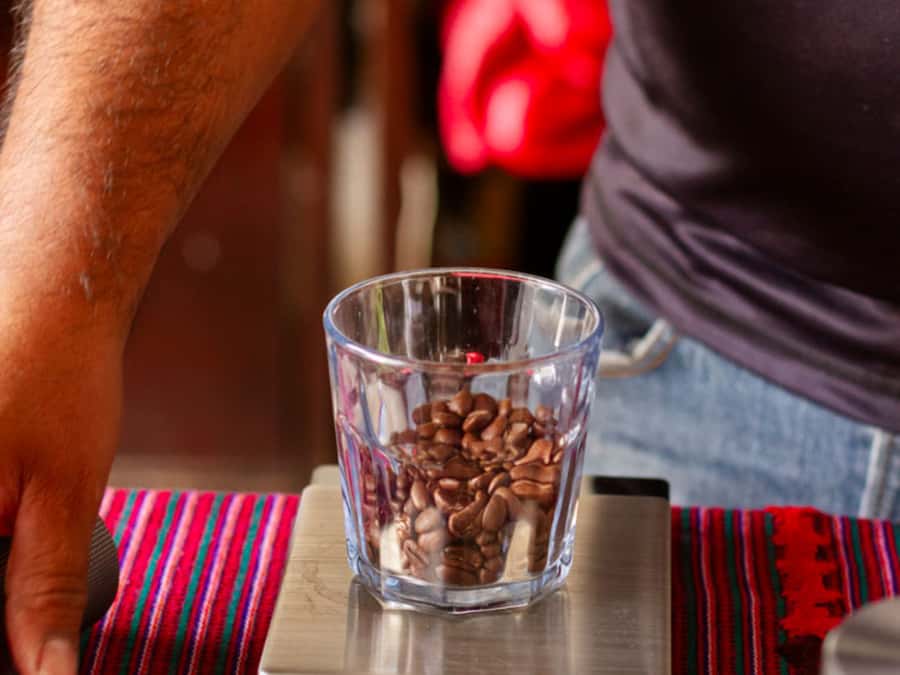 Coffee Tour in Antigua Guatemala - What makes a small family farm different