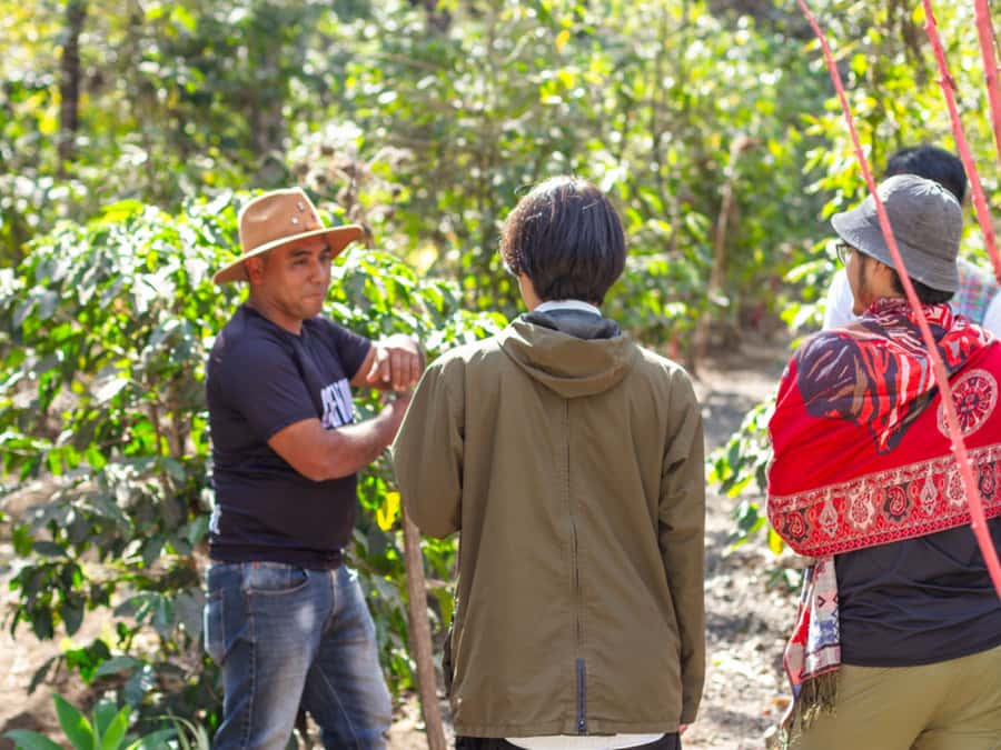 Coffee Tour in Antigua Guatemala - Language, group size, and the feel of the visit