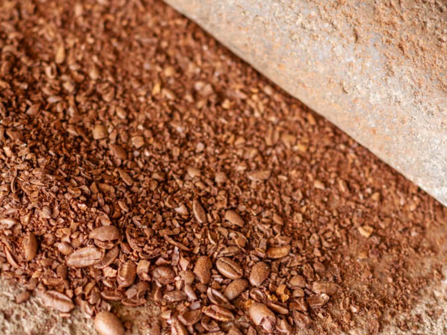 Coffee Tour in Antigua Guatemala - 9:00 AM pickup from Antigua