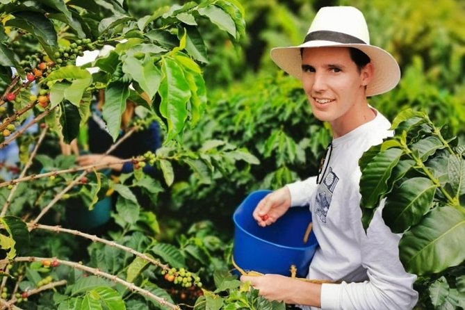Coffee Tour in the Beautiful Jardin Town: Adventure in the Andes - The rustic aerial car and Dulces del Jardín