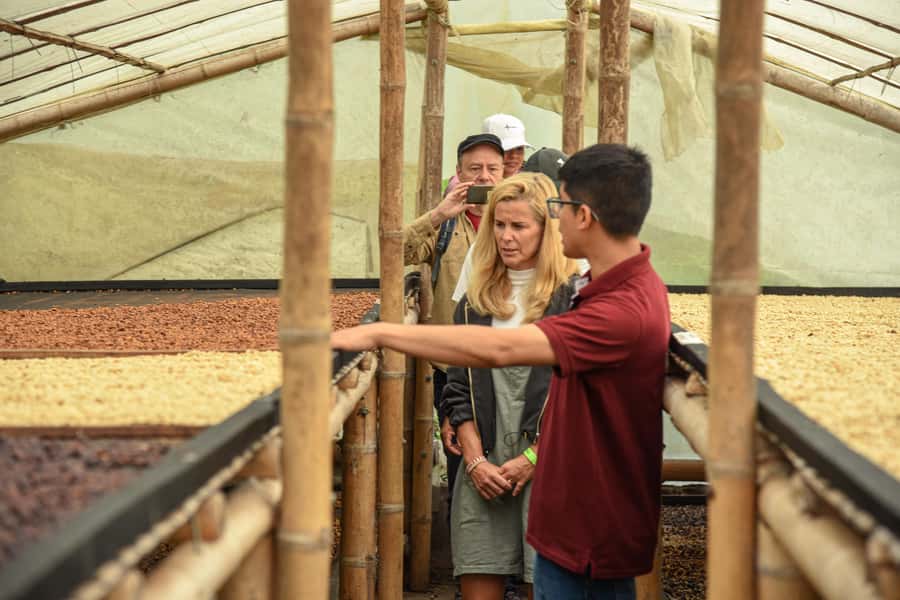 Coffee Tour Salento-Ocaso Farm- English Tour - The final cup: traditional preparation and extraction