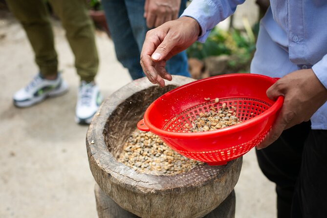 Coffee Tour with arrival on horseback and sugar cane processing - Coffee tasting with methods you may not know