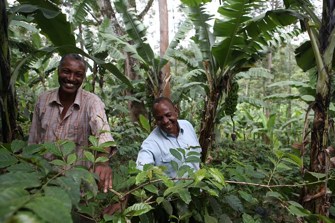 Coffee walk with stay in the village - Why this coffee stay feels different