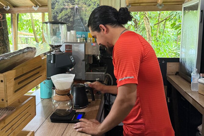 Coffee & Waterfalls Tour: from the mountains to the cup - Cascada Las Delicias and a longer forest break