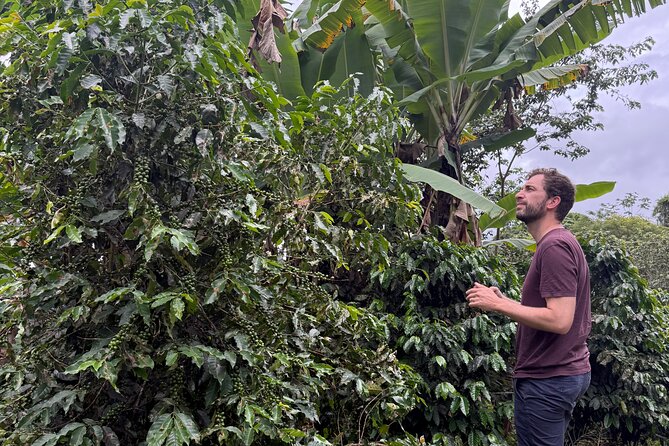 Coffee & Waterfalls Tour: from the mountains to the cup - Toro Negro State Forest near the central mountains