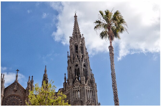 Coffee & Wine: North Route of Gran Canaria Tour - Arucas and the story of white gold