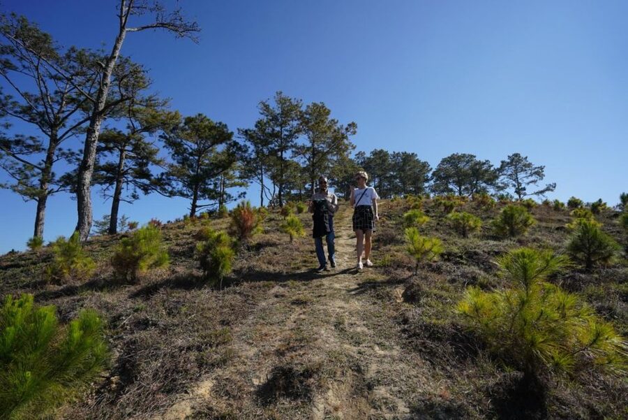 Coffee - Wine - Tea Da Lat's Agricultural Treasures Tour - What this Da Lat tour is really about