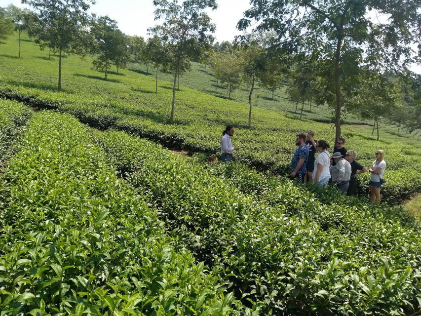 Coffee - Wine - Tea Da Lat's Agricultural Treasures Tour - Domain De Mari Church, a graceful contrast