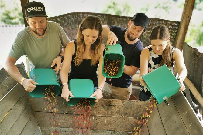 Comuna 13 & Coffee Farm Private Tour in Medellin | The Best Combo - Comuna 13: murals, escalators, and a difficult past