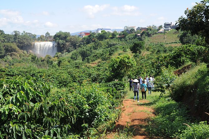 Dalat's countryside|Coffee Plantations Tour beyond Elephant falls - Why This Coffee Tour Is Worth Your Time