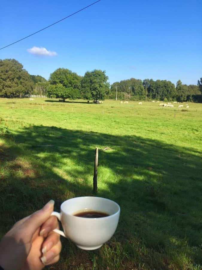 Day Tour to Fairview Coffee Farm - Private transport and the human side of the visit