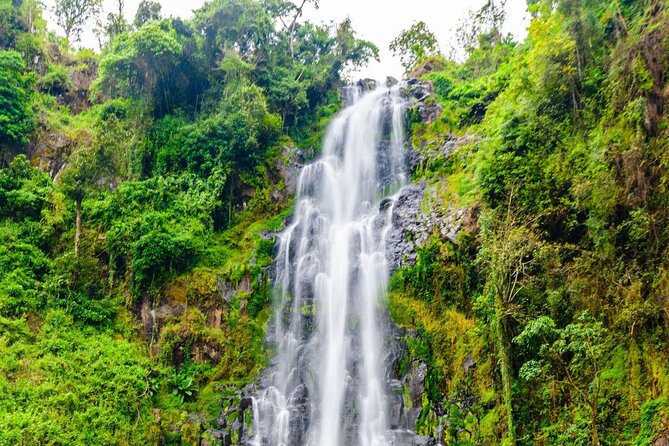 Day Trip Coffee Tour and Materuni Waterfalls - Key details before you book