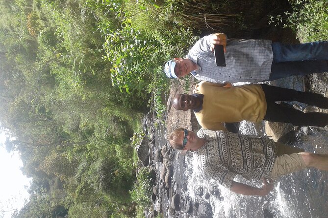 Day Trip Coffee Tour and Materuni Waterfalls - What the private format changes