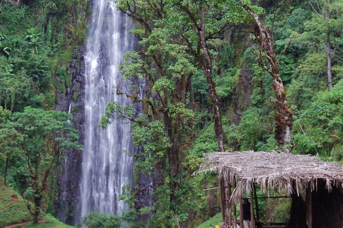 Day Trip Coffee Tour and Materuni Waterfalls - The coffee ceremony is the cultural centerpiece