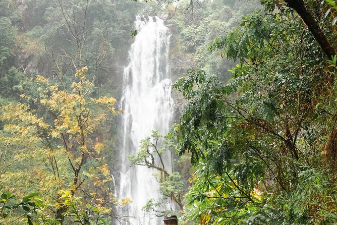 Day trip to Materuni waterfall, Coffee tour and Moshi Nightlife - The evening in Moshi