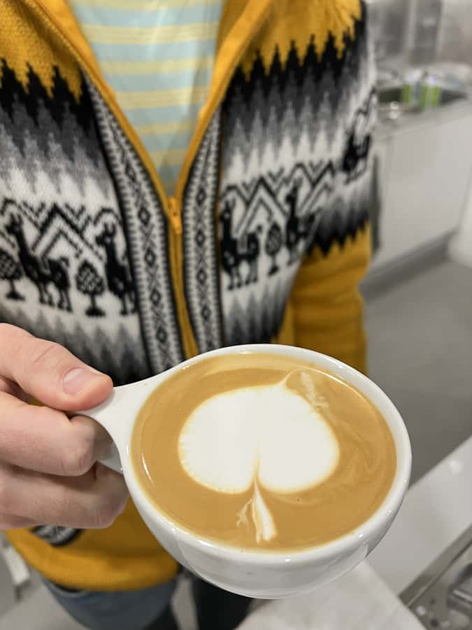 Discover Coffee Experience Latte Art Workshop at Tokyo - How much value do you get for $96?