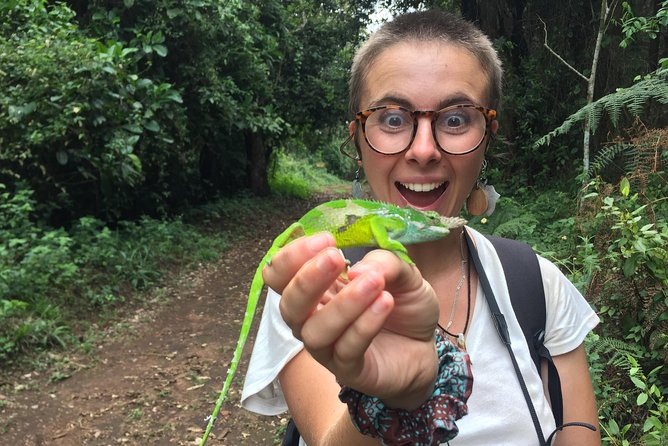 Discover Nature and Culture of Materuni Waterfall & Coffee Tour - Why Materuni makes a strong day trip from Moshi