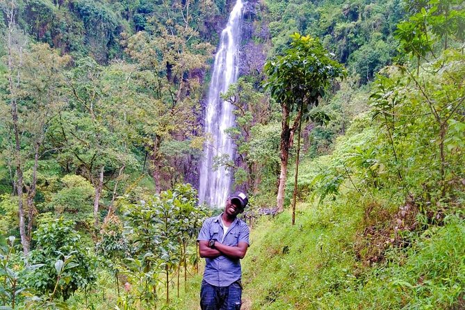 Discover Nature and Culture of Materuni Waterfall & Coffee Tour - Lunch, water, and the value of $50