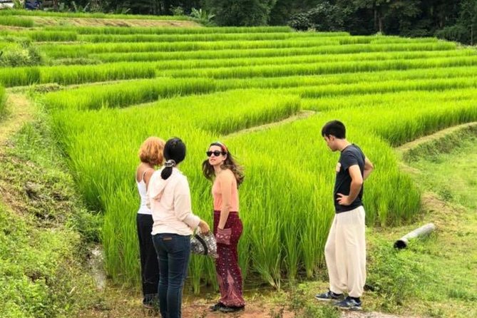 Doi Inthanon Day Trip:Twin Pagodas,Soft Hiking,Coffee Plantation - Wachirathan Falls: The Easy Crowd-Pleaser