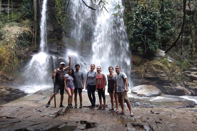 Doi Inthanon Day Trip:Twin Pagodas,Soft Hiking,Coffee Plantation - Hilltribe Villages and the Local Market Stop