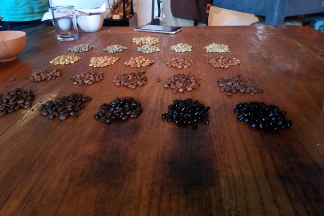 Enjoy the coffee route in Coatepec Magical Town - Coffee, food, and what you pay for