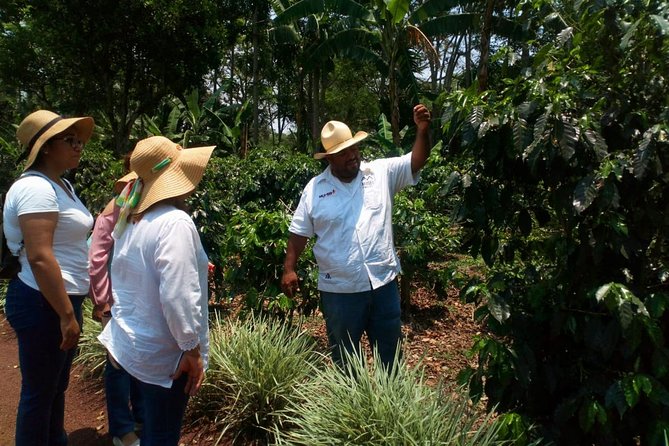 Enjoy the coffee route in Coatepec Magical Town - Who will enjoy this day most
