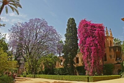 Exclusive Alcazar with breakfast or afternoon coffee in gardens