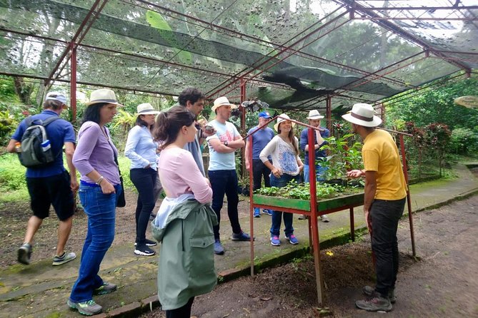 Exclusive Coffee Experience:Tour from Bogotá - The Long Road South from Bogotá
