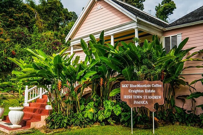Exotic Blue Mountain Coffee Tour - Key points at a glance