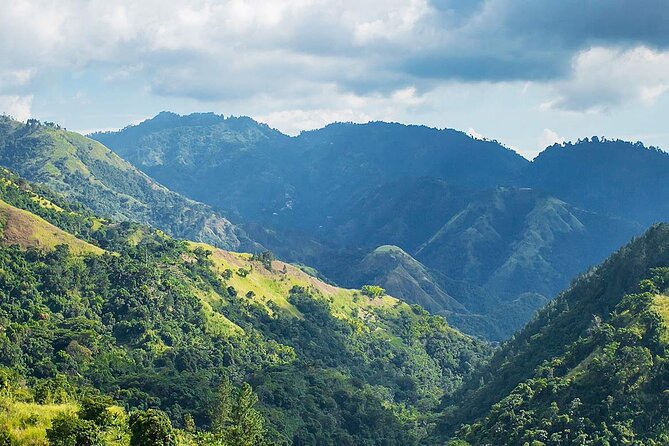 Exotic Blue Mountain Coffee Tour - A long Jamaican day that connects coffee and culture