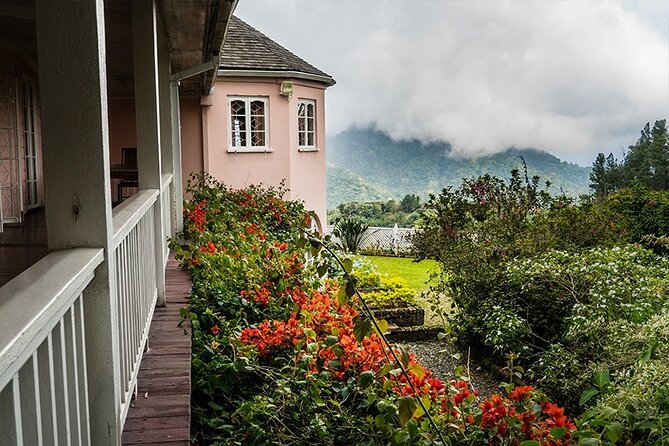 Exotic Blue Mountain Coffee Tour - Kingston after the coffee farm