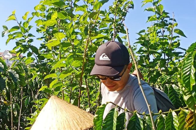 Experience Making specialty coffee in Da Lat City - Who should book this activity?