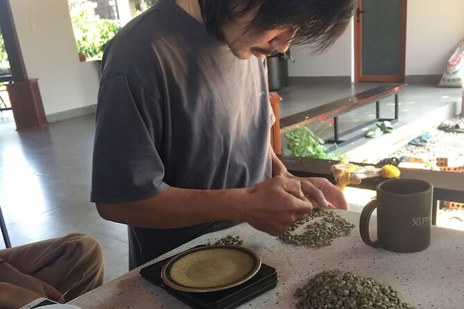 Experience Making specialty coffee in Da Lat City - Understanding Arabica, Robusta, and processing