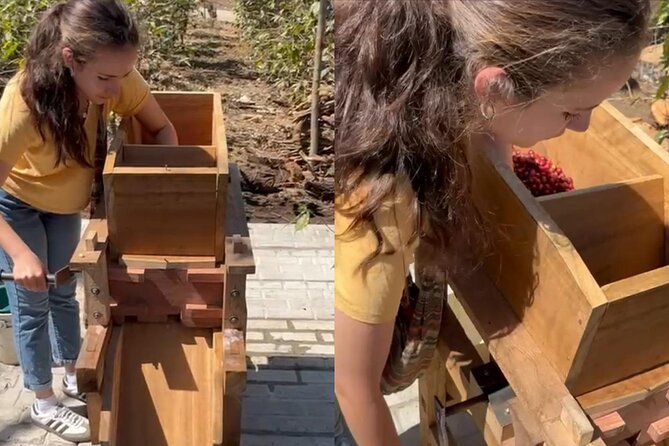 Experience: Organic Coffee, Avocados, Honey & More! - Four compost methods and the practical side of sustainability
