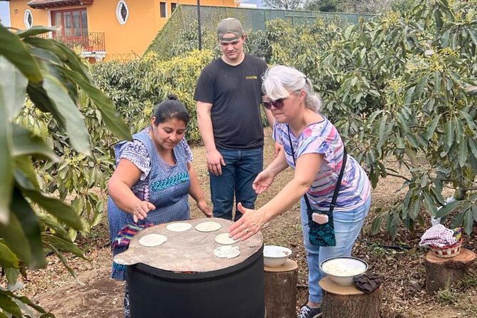 Experience: Organic Coffee, Avocados, Honey & More! - Avocados, tortillas, and a farm lunch without the fuss