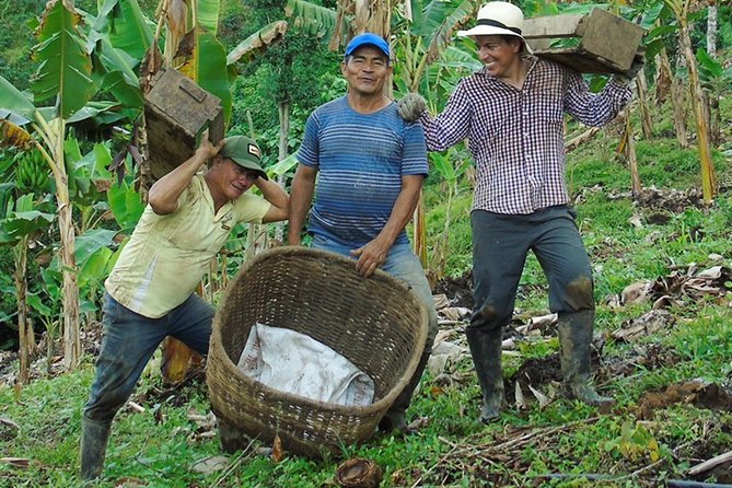 Explore the Coffee Process_From Tree to Cup & Fun by Jeep - Meeting a family farm with a larger purpose