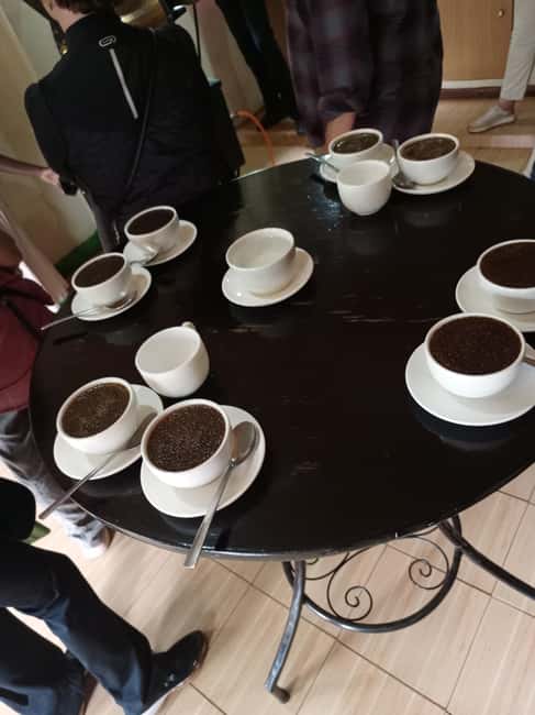 FAIRVIEW COFFEE FARM DAY TOUR - Key points before you book