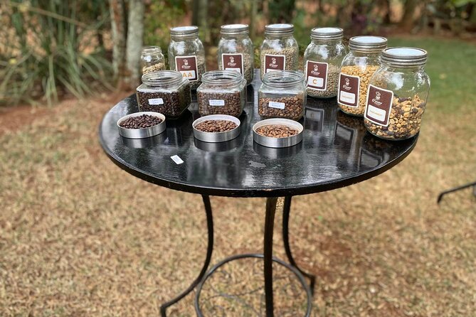 Fairview Estate Coffee Farm Tour With Pick up - Why Raymond’s guiding matters