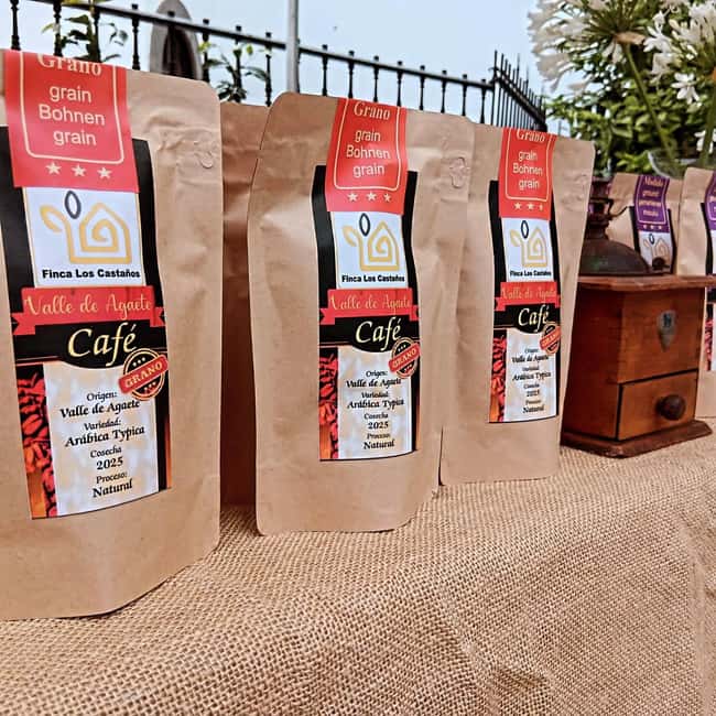 Finca Los Castaños: Agaete Valley Coffee Tour & Tasting - Why coffee grows in Agaete Valley