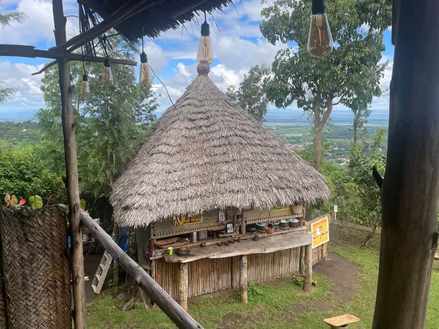 From Arusha: Coffee Farm and Mangalia Waterfalls Tour - Learning coffee from plant to fresh cup