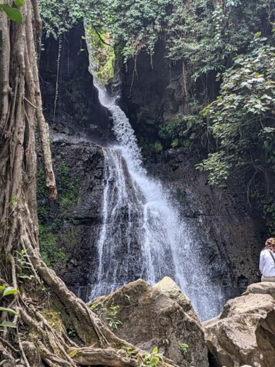 Coffee Farm and Mangalia Waterfalls Tour